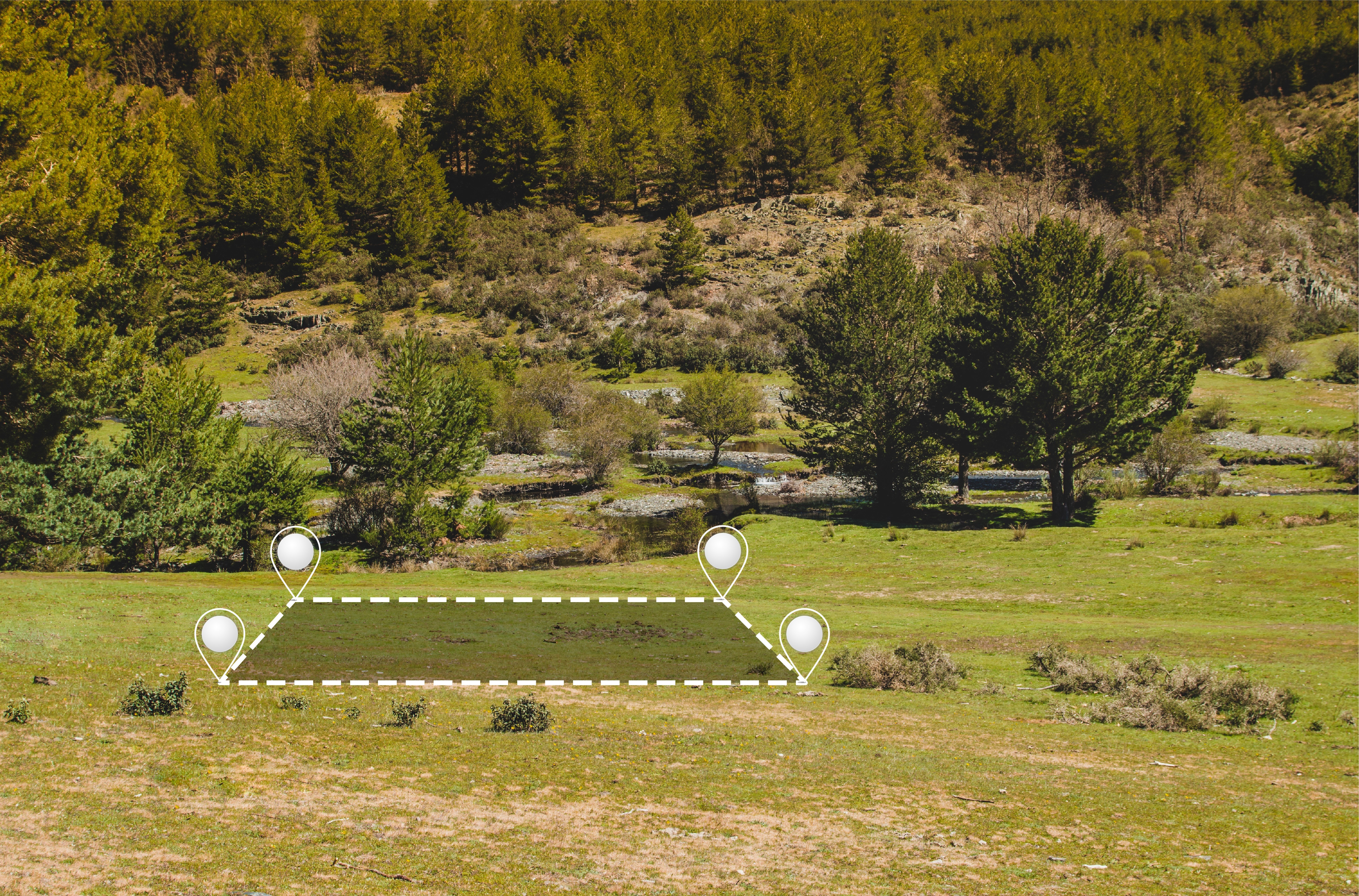 Farm Management